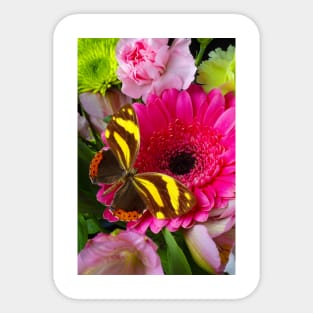 Golden Wings On Pink Gerbera Daisy Sticker